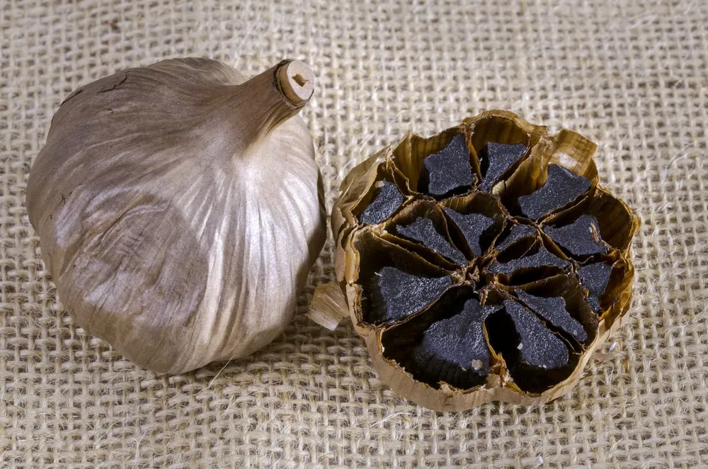 What İs Black Garlic? Where İs Black Garlic Grown?