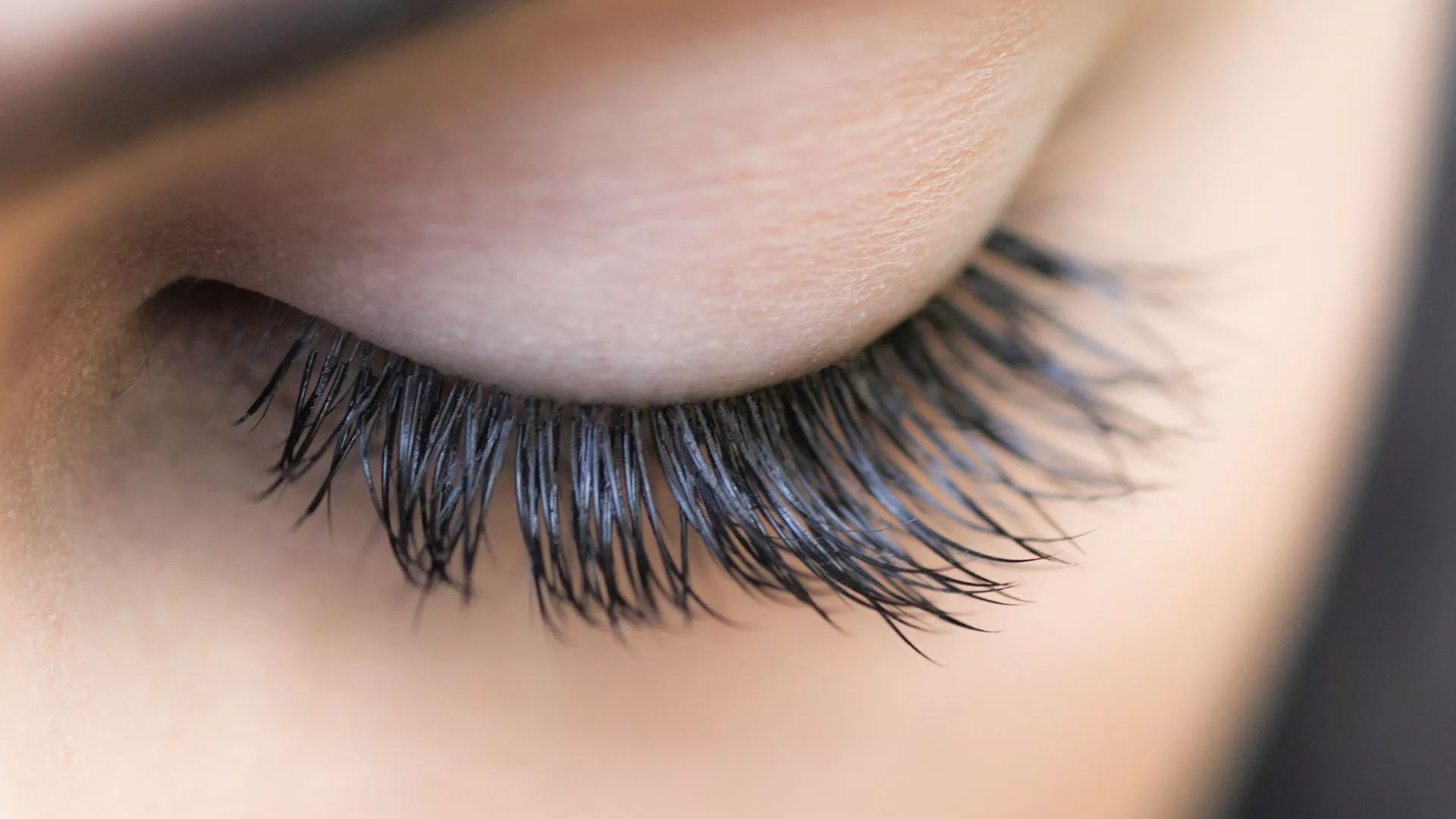 Eyelash Structure, Care and Causes of Eyelash Loss