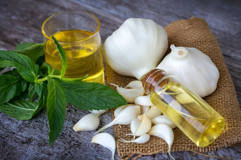 How to Take Care of Your Hair with Garlic